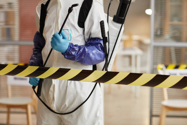 Professional Biohazard technician working in Sayville, NY